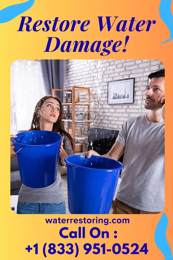 water restoration Platinum Water Restoration Professionals Myrtle
