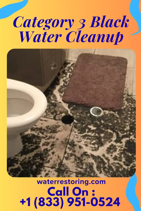 Category 3 Black Water Cleanup in Myrtle, MS