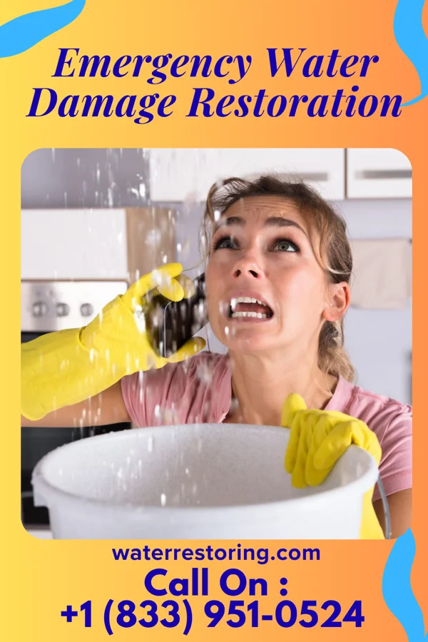 Emergency Water Damage Restoration in Myrtle, MS