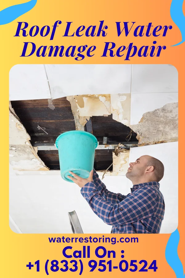 Roof Leak Water Damage Repair in Myrtle, MS